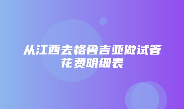 从江西去格鲁吉亚做试管花费明细表