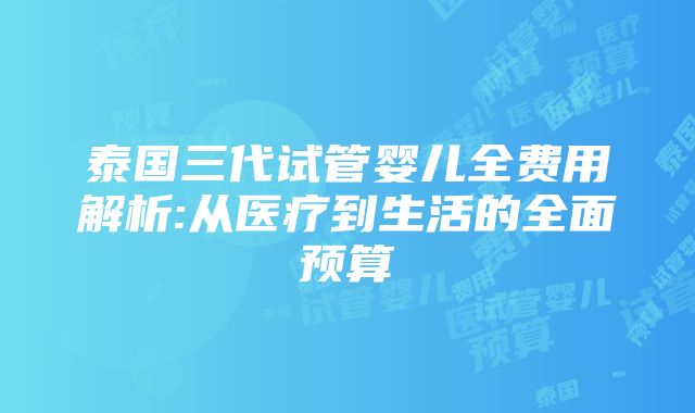 泰国三代试管婴儿全费用解析:从医疗到生活的全面预算