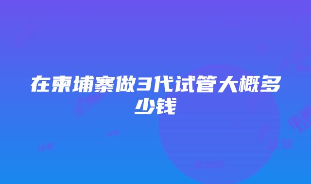 在柬埔寨做3代试管大概多少钱