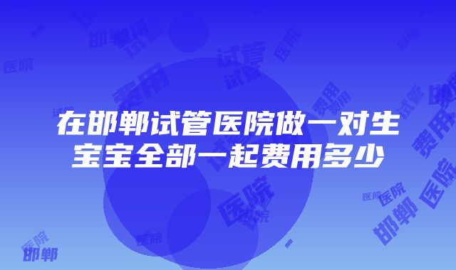 在邯郸试管医院做一对生宝宝全部一起费用多少