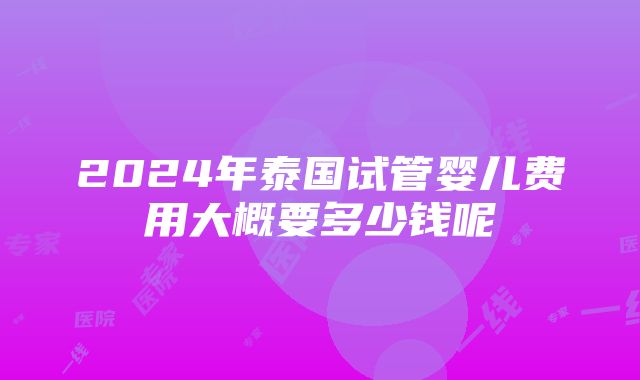 2024年泰国试管婴儿费用大概要多少钱呢