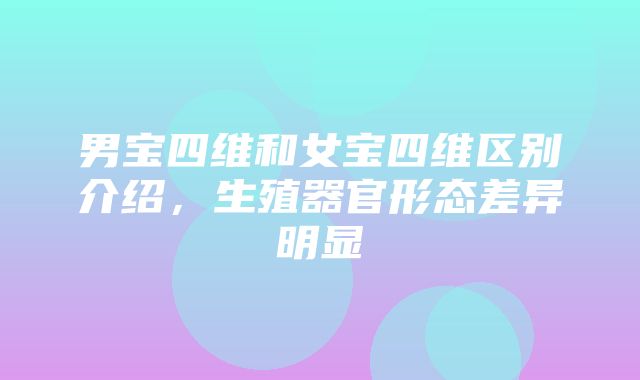 男宝四维和女宝四维区别介绍，生殖器官形态差异明显