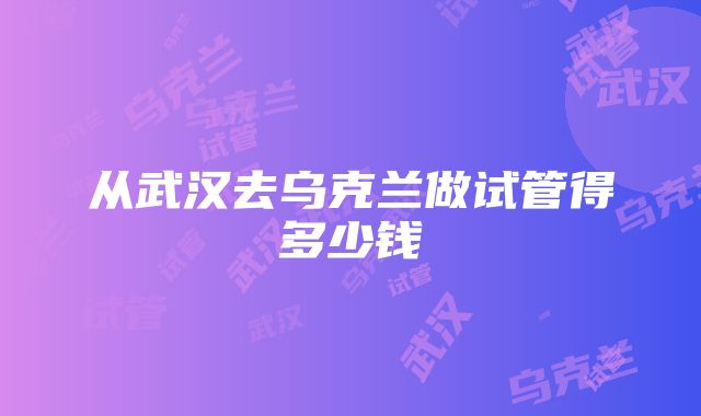 从武汉去乌克兰做试管得多少钱