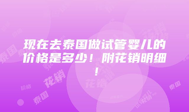 现在去泰国做试管婴儿的价格是多少！附花销明细！