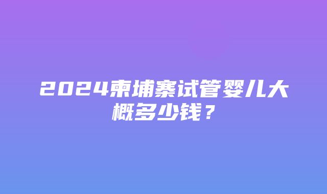 2024柬埔寨试管婴儿大概多少钱？