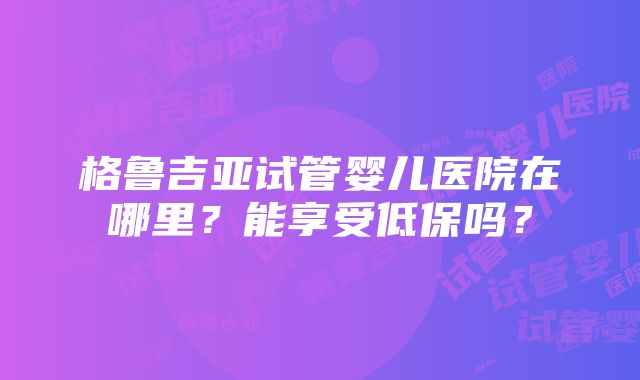 格鲁吉亚试管婴儿医院在哪里？能享受低保吗？