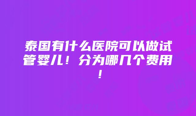 泰国有什么医院可以做试管婴儿！分为哪几个费用！