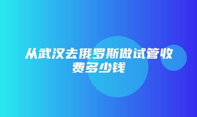 从武汉去俄罗斯做试管收费多少钱