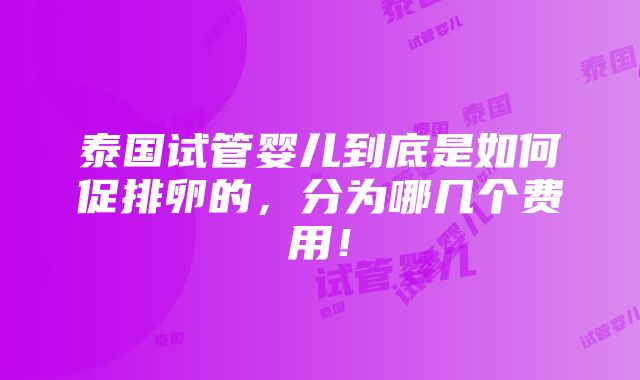 泰国试管婴儿到底是如何促排卵的，分为哪几个费用！