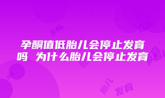 孕酮值低胎儿会停止发育吗 为什么胎儿会停止发育