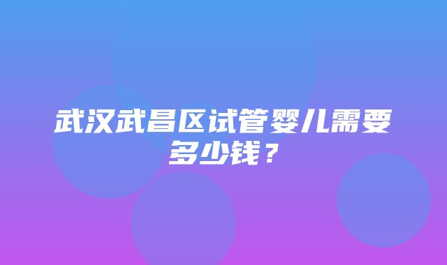 武汉武昌区试管婴儿需要多少钱？