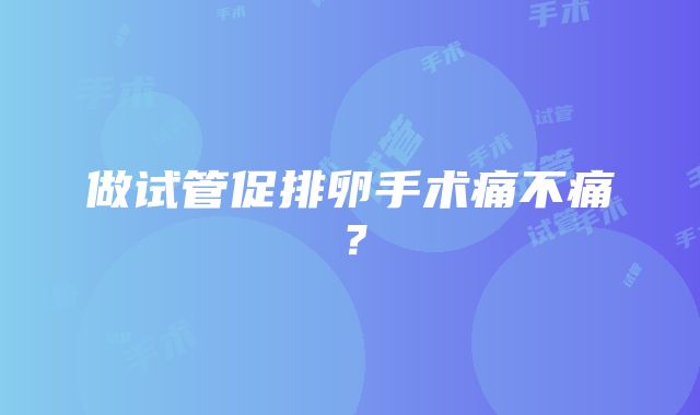 做试管促排卵手术痛不痛？