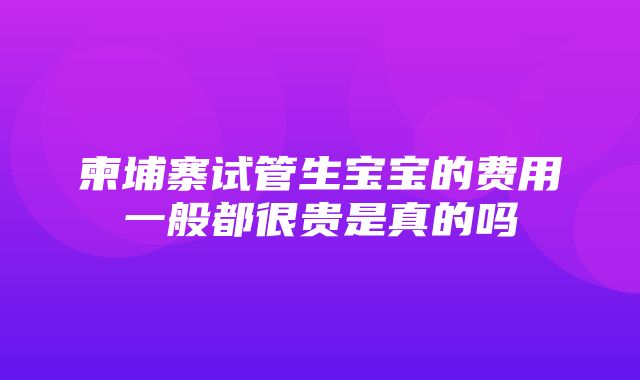 柬埔寨试管生宝宝的费用一般都很贵是真的吗