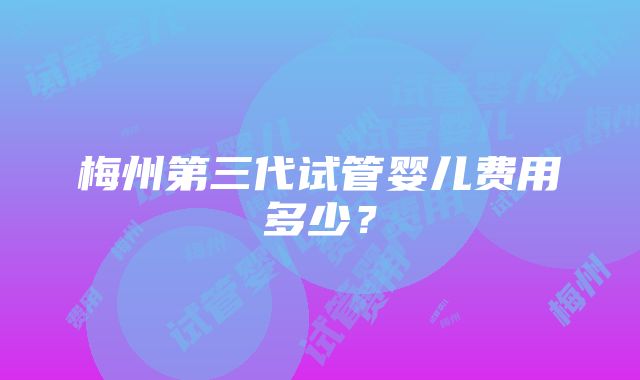 梅州第三代试管婴儿费用多少？