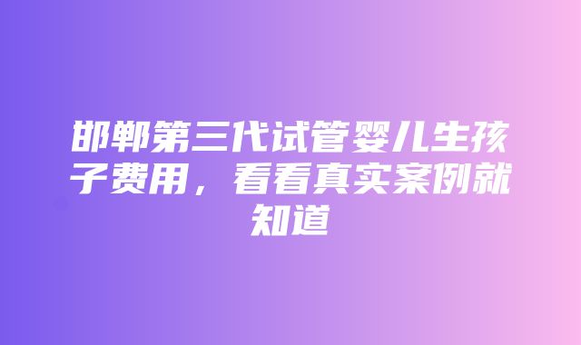 邯郸第三代试管婴儿生孩子费用，看看真实案例就知道