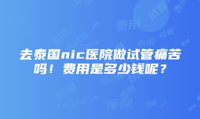 去泰国nic医院做试管痛苦吗！费用是多少钱呢？