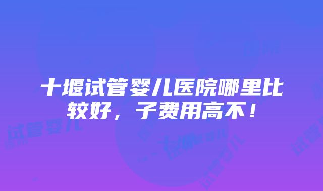 十堰试管婴儿医院哪里比较好，子费用高不！