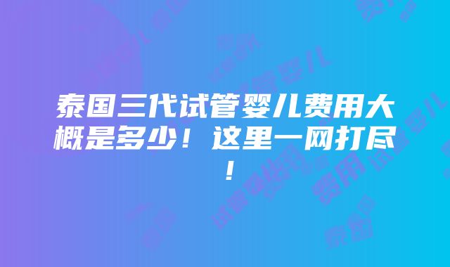 泰国三代试管婴儿费用大概是多少！这里一网打尽！