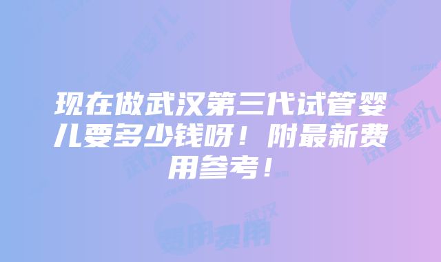 现在做武汉第三代试管婴儿要多少钱呀！附最新费用参考！