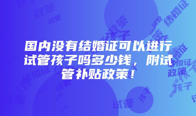 国内没有结婚证可以进行试管孩子吗多少钱，附试管补贴政策！