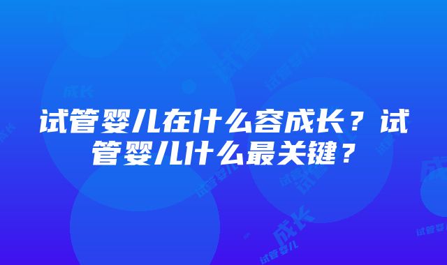 试管婴儿在什么容成长？试管婴儿什么最关键？