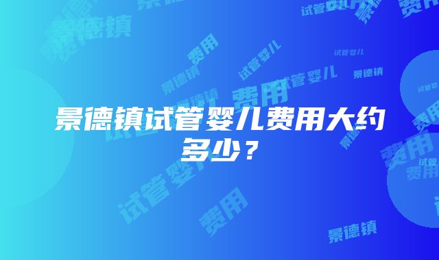 景德镇试管婴儿费用大约多少？