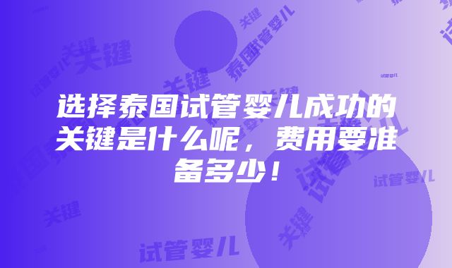 选择泰国试管婴儿成功的关键是什么呢，费用要准备多少！