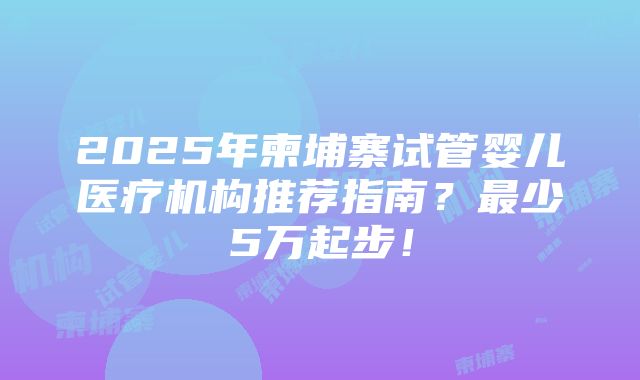 2025年柬埔寨试管婴儿医疗机构推荐指南？最少5万起步！