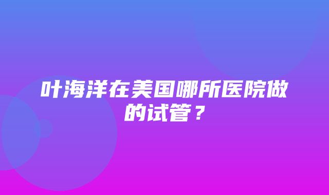 叶海洋在美国哪所医院做的试管？