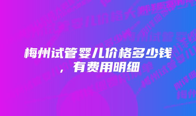 梅州试管婴儿价格多少钱，有费用明细