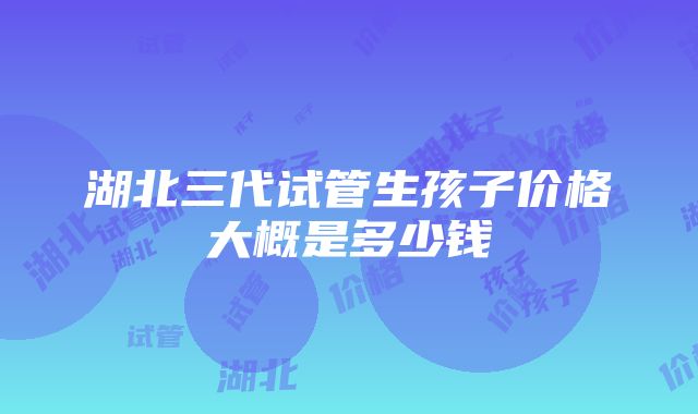 湖北三代试管生孩子价格大概是多少钱