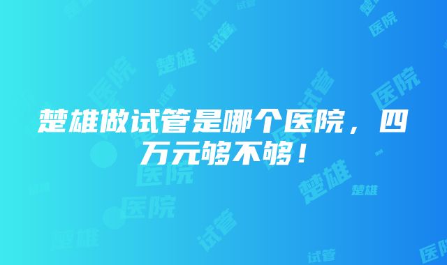 楚雄做试管是哪个医院，四万元够不够！