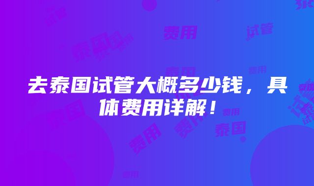 去泰国试管大概多少钱，具体费用详解！