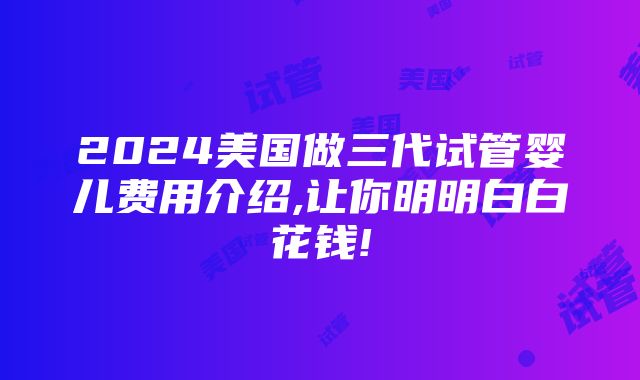 2024美国做三代试管婴儿费用介绍,让你明明白白花钱!