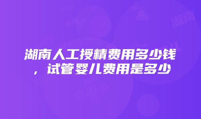 湖南人工授精费用多少钱，试管婴儿费用是多少