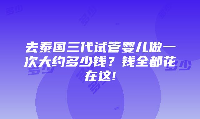 去泰国三代试管婴儿做一次大约多少钱？钱全都花在这!