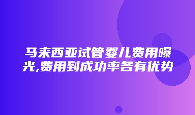 马来西亚试管婴儿费用曝光,费用到成功率各有优势