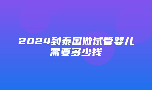 2024到泰国做试管婴儿需要多少钱