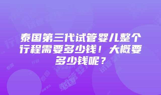 泰国第三代试管婴儿整个行程需要多少钱！大概要多少钱呢？