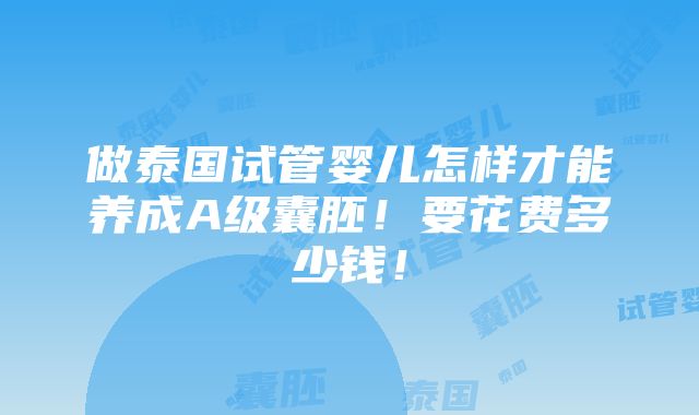 做泰国试管婴儿怎样才能养成A级囊胚！要花费多少钱！