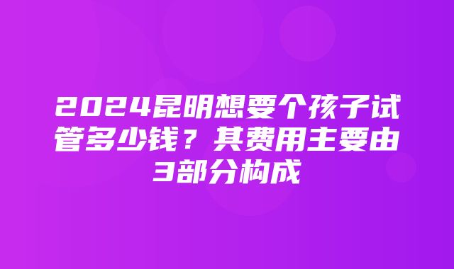 2024昆明想要个孩子试管多少钱？其费用主要由3部分构成