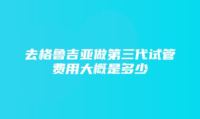 去格鲁吉亚做第三代试管费用大概是多少