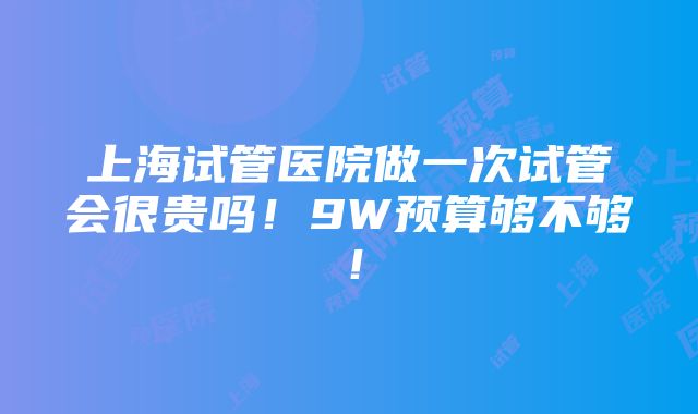 上海试管医院做一次试管会很贵吗！9W预算够不够！