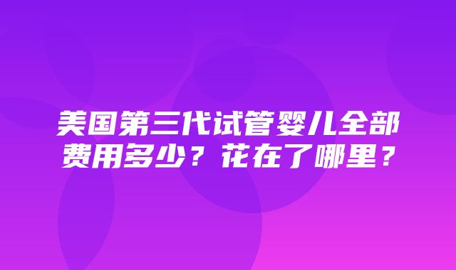 美国第三代试管婴儿全部费用多少？花在了哪里？