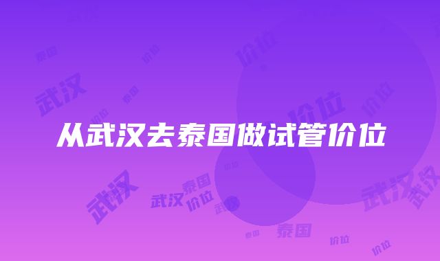 从武汉去泰国做试管价位