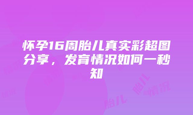 怀孕16周胎儿真实彩超图分享，发育情况如何一秒知