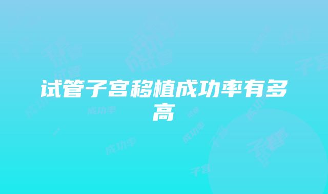 试管子宫移植成功率有多高