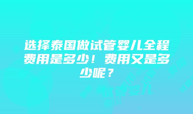 选择泰国做试管婴儿全程费用是多少！费用又是多少呢？