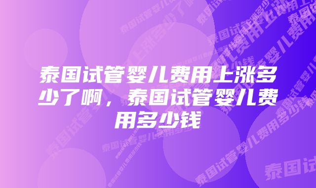 泰国试管婴儿费用上涨多少了啊，泰国试管婴儿费用多少钱