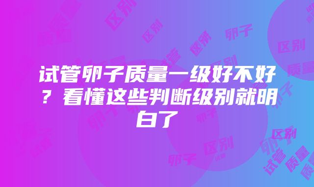 试管卵子质量一级好不好？看懂这些判断级别就明白了